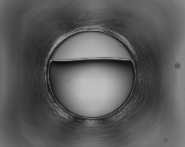 X0000100931176200806241130