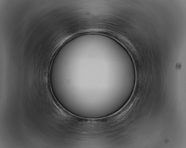 X0000100931177200806241130