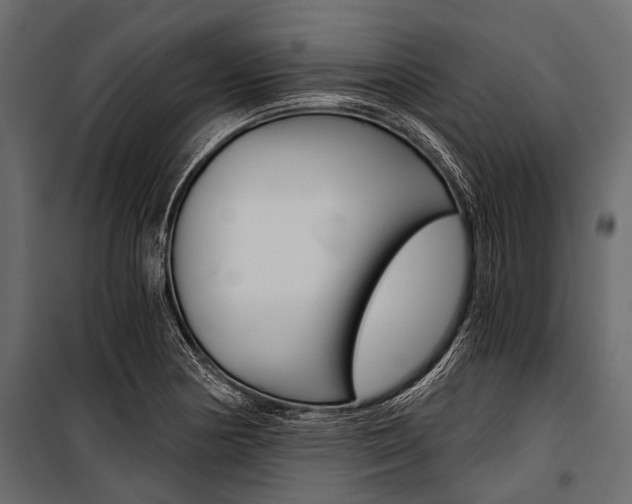 X0000100931178200806241130