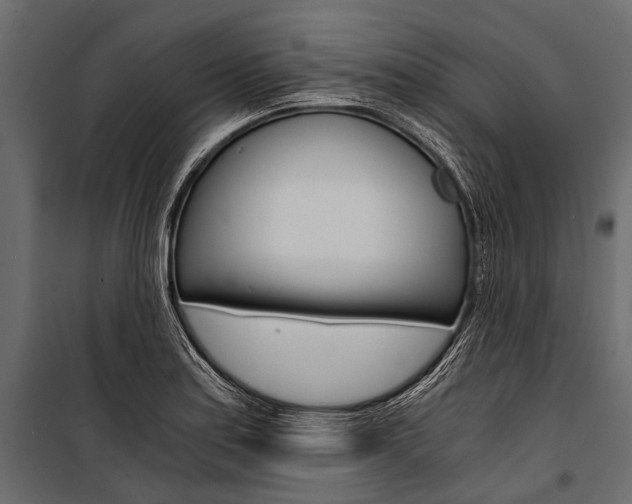 X0000100931179200806241130