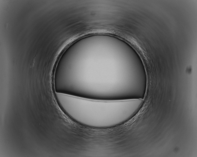 X0000100931181200806241130