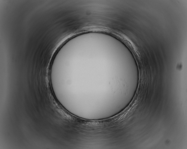 X0000100931182200806241130