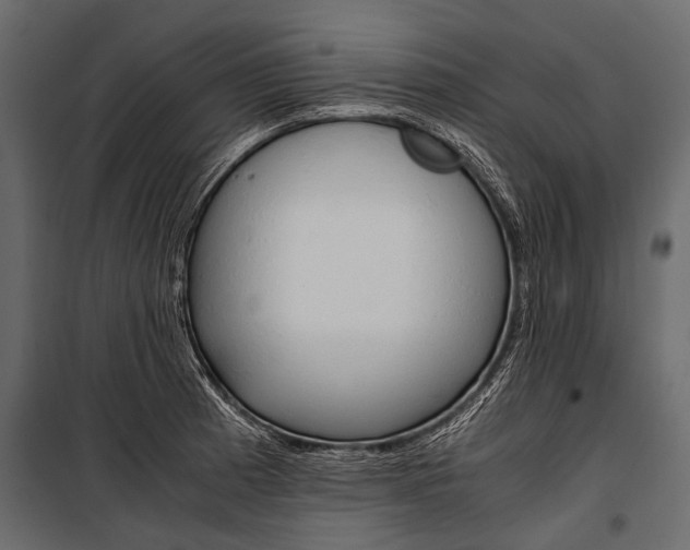 X0000100931185200806241130