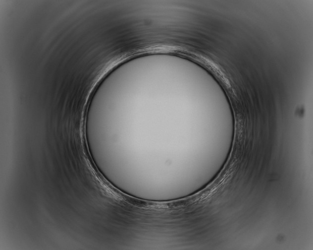 X0000100931186200806241130