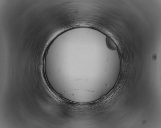 X0000100931187200806241130