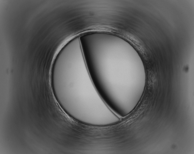 X0000100931188200806241130
