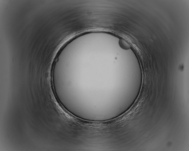 X0000100931189200806241130