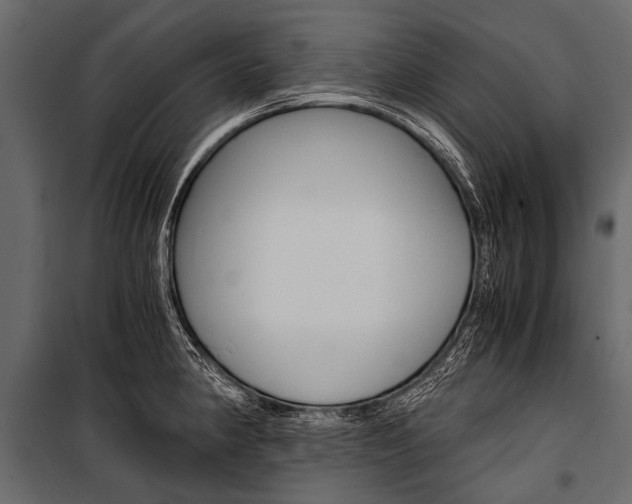X0000100931190200806241130