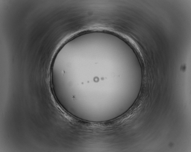 X0000100931191200806241130