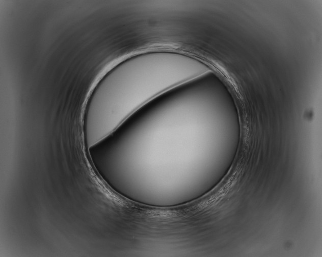 X0000100931192200806241130