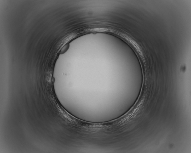 X0000100931193200806241130