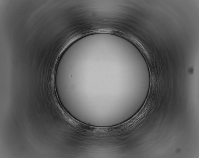 X0000100931194200806241130