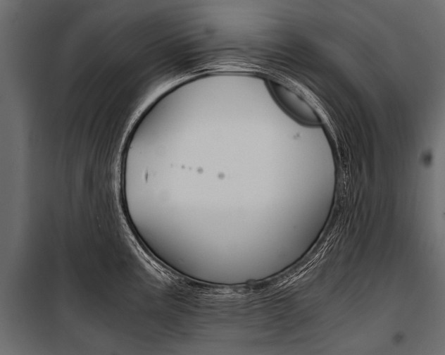 X0000100931195200806241130