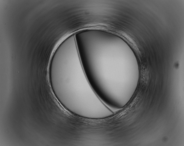 X0000100931196200806241130
