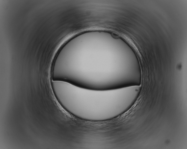 X0000100931197200806241130