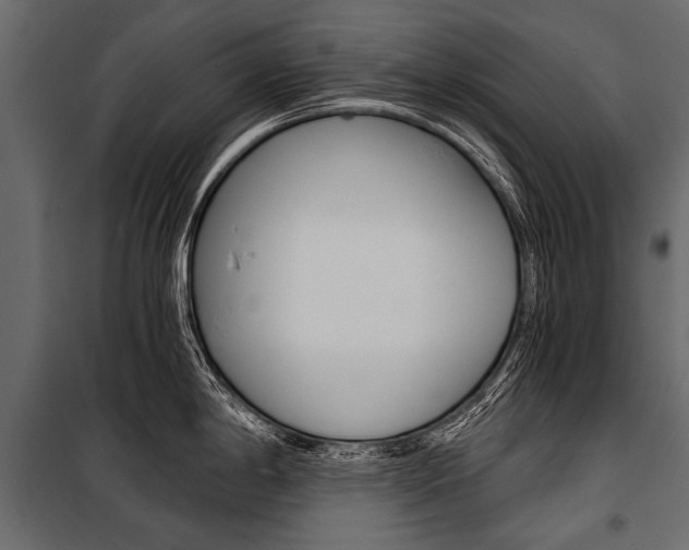 X0000100931198200806241130