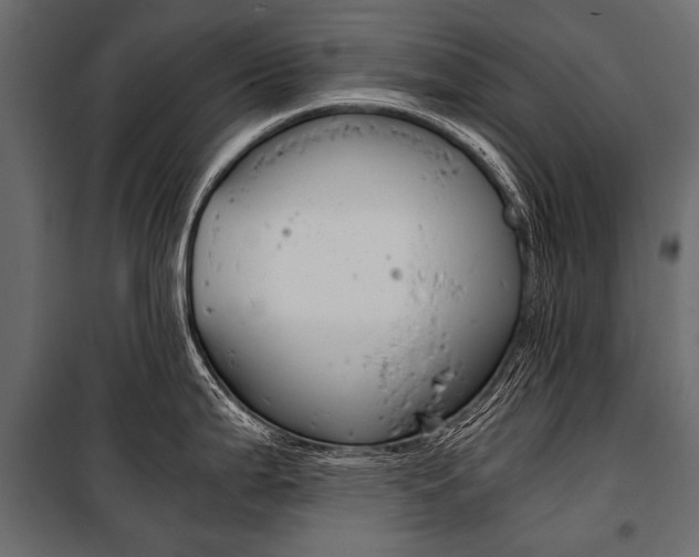 X0000100931199200806241130