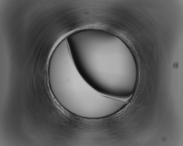 X0000100931200200806241130