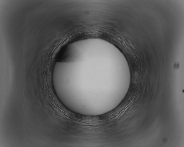 X0000100931201200806241129
