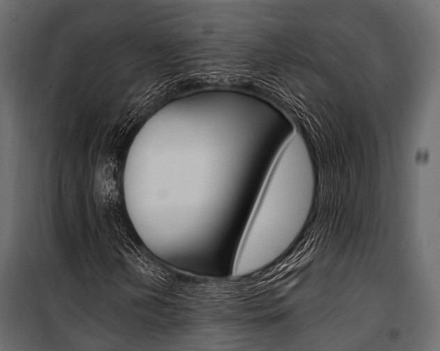 X0000100931202200806241129