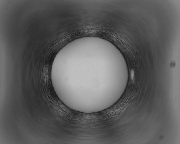 X0000100931203200806241129