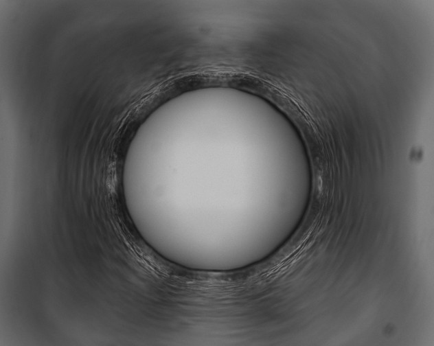 X0000100931204200806241129