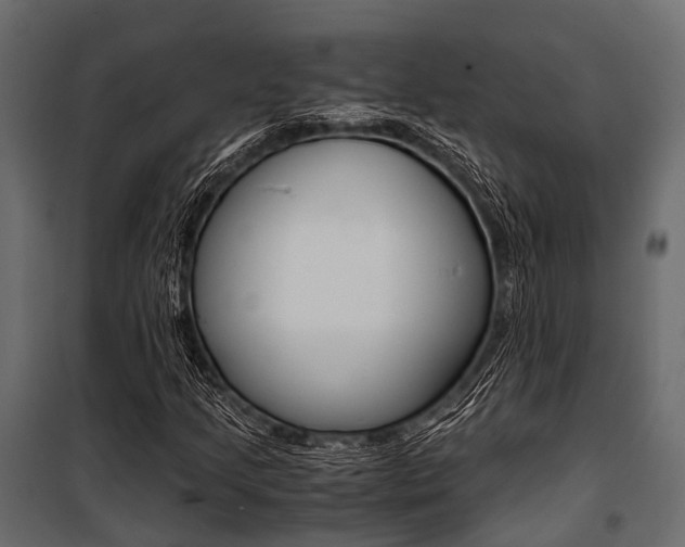 X0000100931205200806241129