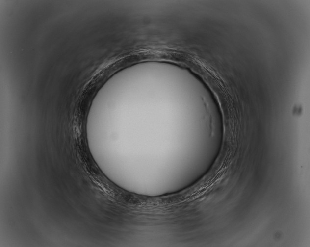X0000100931206200806241129