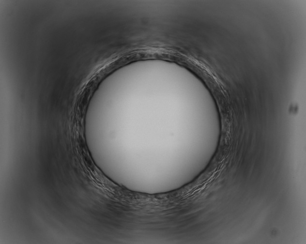 X0000100931207200806241129