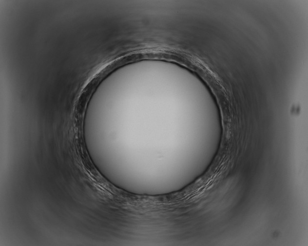 X0000100931208200806241129
