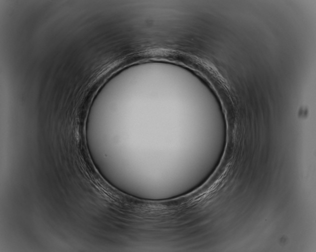 X0000100931209200806241129