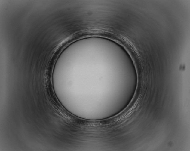 X0000100931210200806241129