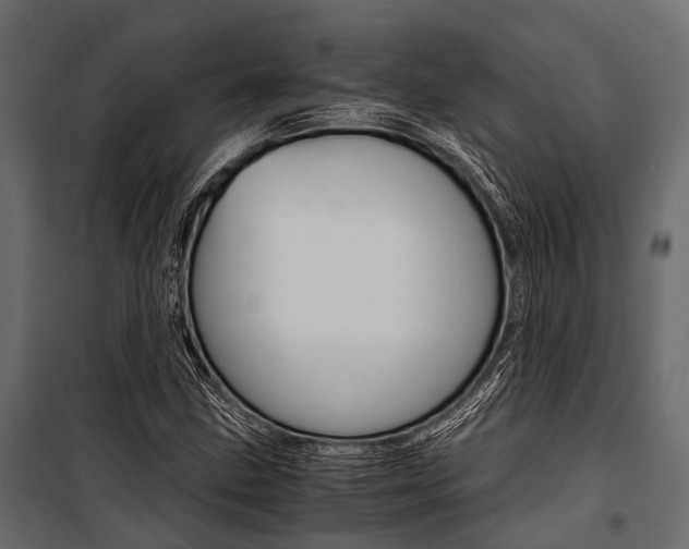 X0000100931211200806241129