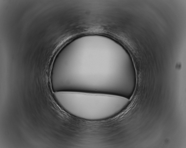 X0000100931212200806241129