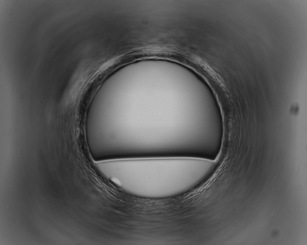 X0000100931213200806241129
