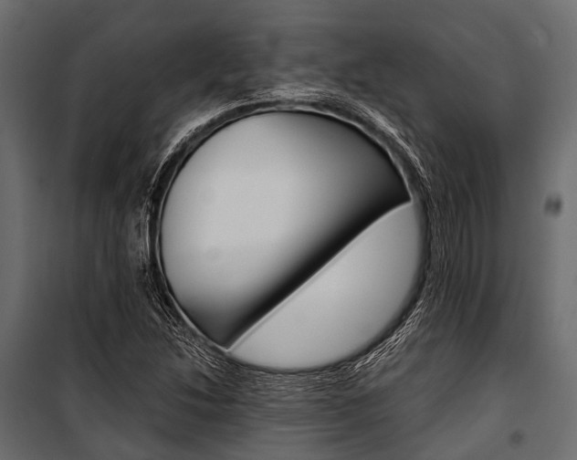 X0000100931214200806241129
