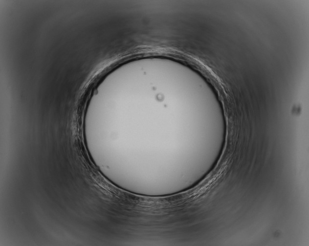 X0000100931215200806241129