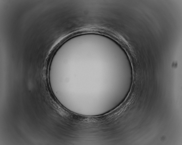 X0000100931216200806241129