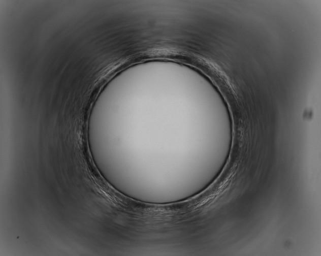 X0000100931217200806241129