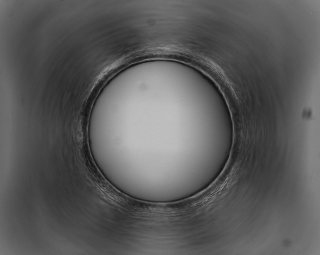 X0000100931218200806241129