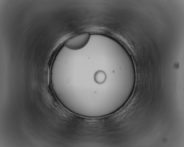 X0000100931219200806241129