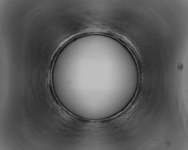 X0000100931220200806241129