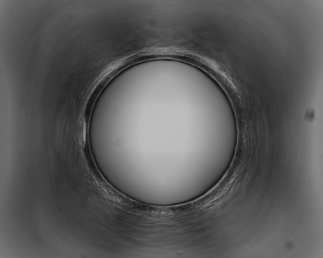 X0000100931221200806241129