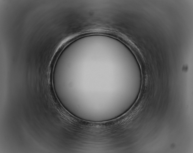 X0000100931222200806241129