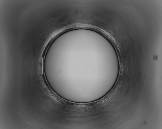 X0000100931223200806241129