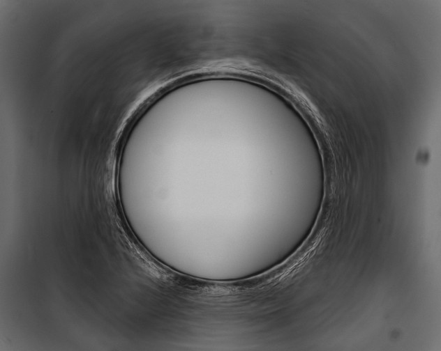 X0000100931224200806241129