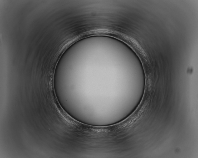 X0000100931225200806241129