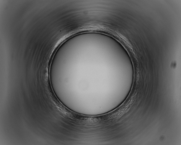 X0000100931226200806241129