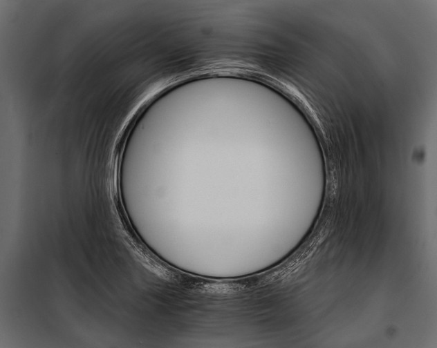X0000100931227200806241129