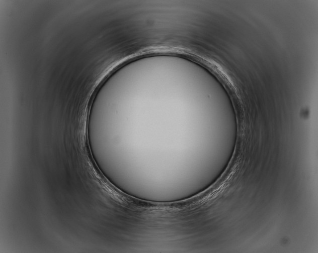 X0000100931228200806241129
